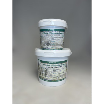 Chrysanthellum horse - La boutique de l'Arbalou