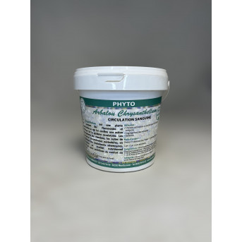 Chrysanthellum horse - La boutique de l'Arbalou