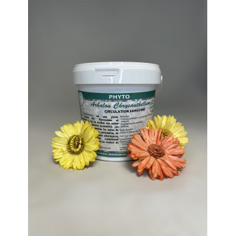 Chrysanthellum horse - La boutique de l'Arbalou