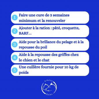 Levure de Bière chien et chat