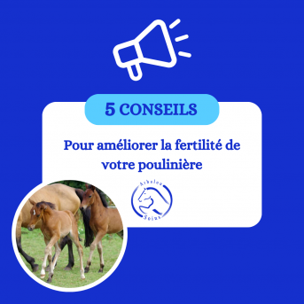 Plante Fertilité poulinière - produit augmentation fertilité jument -…