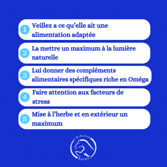 Fertilité poulinière - La boutique de l'Arbalou