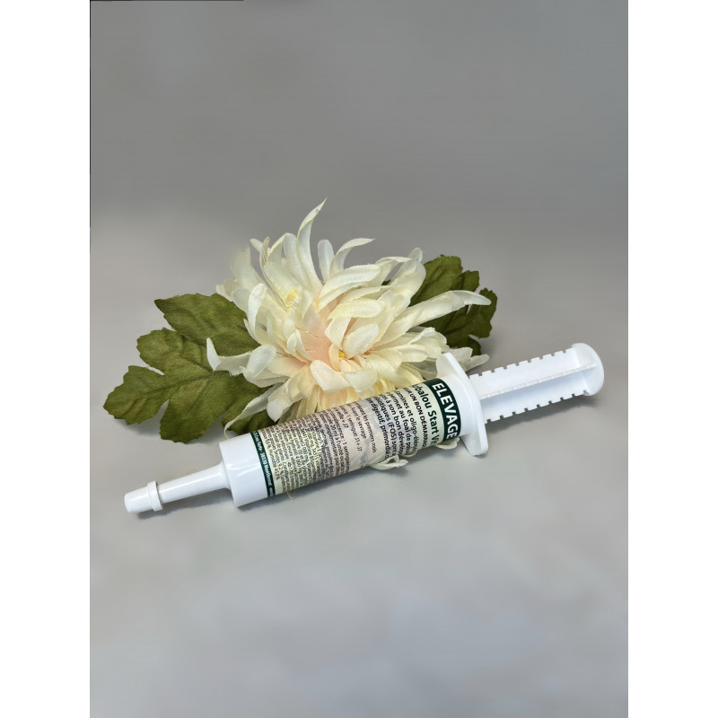 seringue naissance poulain - vitamine poulain - seringue poulain - la…