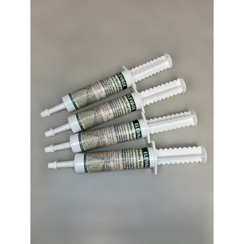 ARBALOU START VIT POULAIN