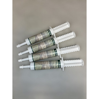 ARBALOU START VIT POULAIN