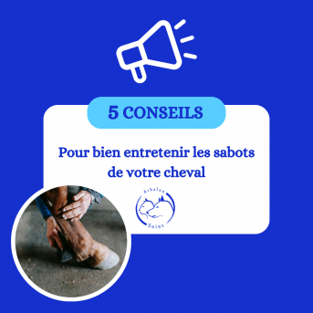 ONGUENT CHEVAL - graisse à pieds cheval - graisse à sabot hiver…