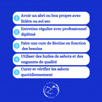 ONGUENT CHEVAL - graisse à pieds cheval - graisse à sabot hiver…