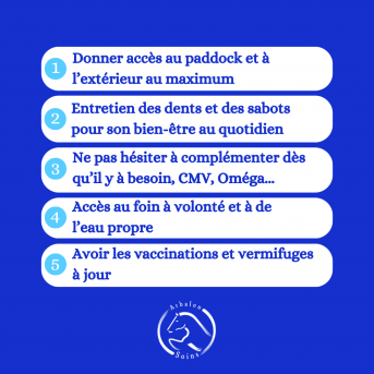 Arbalou herbal Senior – Herbal Supplement for Senior Horses