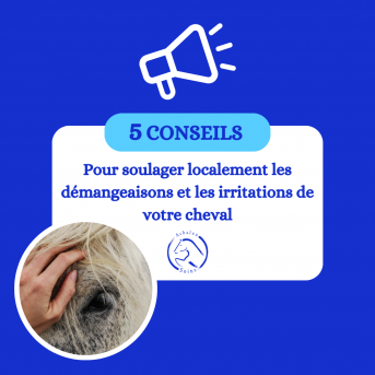 dermite estivale cheval - la boutique de l'arbalou