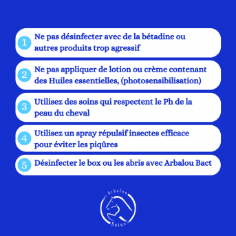 dermite estivale cheval - la boutique de l'arbalou