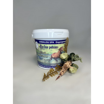 ARBALOU SPA Bye Bye Poteau