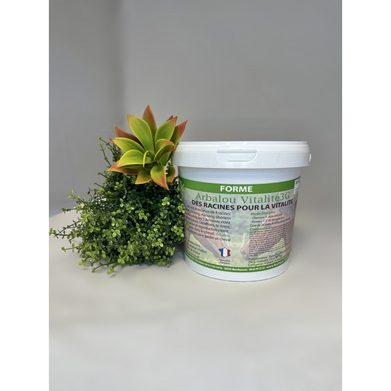 Arbalou Vitalité 3G