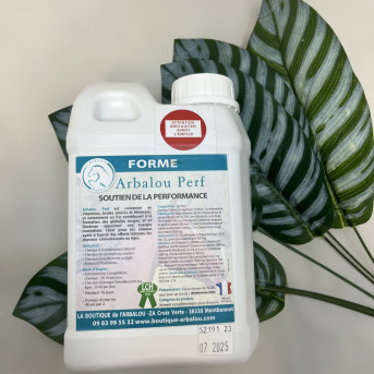 ARBALOU PERF