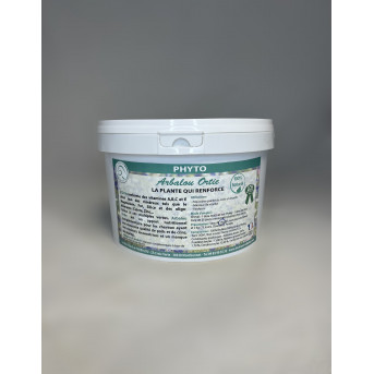 Ortie cheval - PLANTE CHEVAL ORTIE - silice cheval