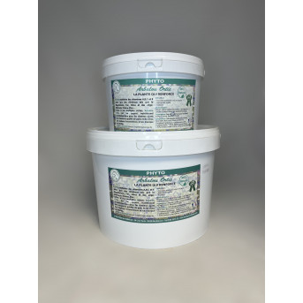 Ortie cheval - PLANTE CHEVAL ORTIE - silice cheval