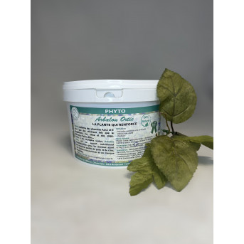 Ortie cheval - PLANTE CHEVAL ORTIE - silice cheval