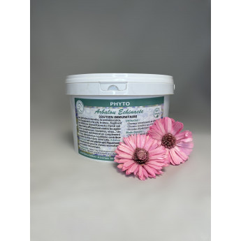 plante immunité cheval - echinacee cheval - plante cheval