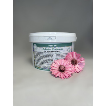 plante immunité cheval - echinacee cheval - plante cheval