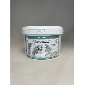 plante immunité cheval - echinacee cheval - plante cheval