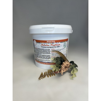 PSYLLIUM cheval - psyllium pur cheval - digestion cheval - arbalou…