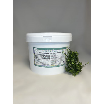 thym cheval - plante thym cheval - plante respiration cheval -…