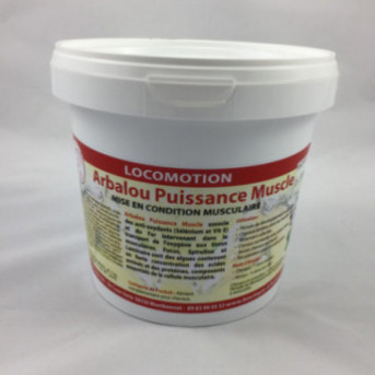 puissance muscle cheval  prise muscle cheval  prise masse musculaire cheval  masse musculaire cheval  plus de muscle cheval