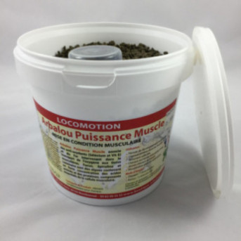 ARBALOU PUISSANCE MUSCLE