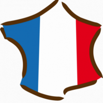 puissance muscle cheval  prise muscle cheval  prise masse musculaire cheval  masse musculaire cheval  plus de muscle cheval