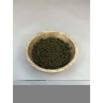 Carcinoma in horses - Melanoma in horses - La boutique de l'Arbalou