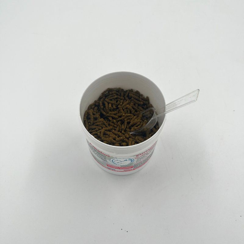 ARBALOU CURCUMA + CHIEN