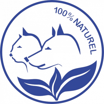 Curcuma pur pour chat - Arbalou soins