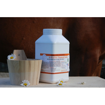 Ulcère gastrique du cheval - La boutique de l'Arbalou