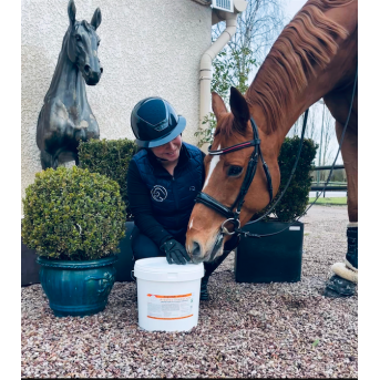Ulcère cheval traitement - La boutique de l'Arbalou