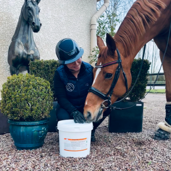 Arbalou Stomach Calm | Horse Gastric & Digestive Support