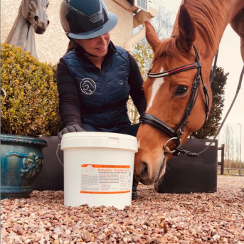 Arbalou Stomacalm | Horse Gastric & Digestive Support