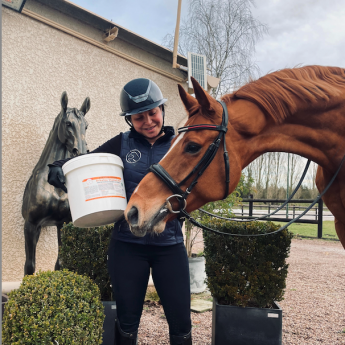 Ulcère cheval complément - La boutique de l'Arbalou