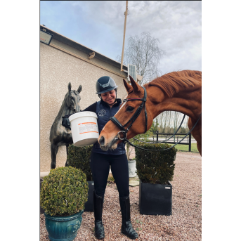 Ulcère cheval complément - La boutique de l'Arbalou