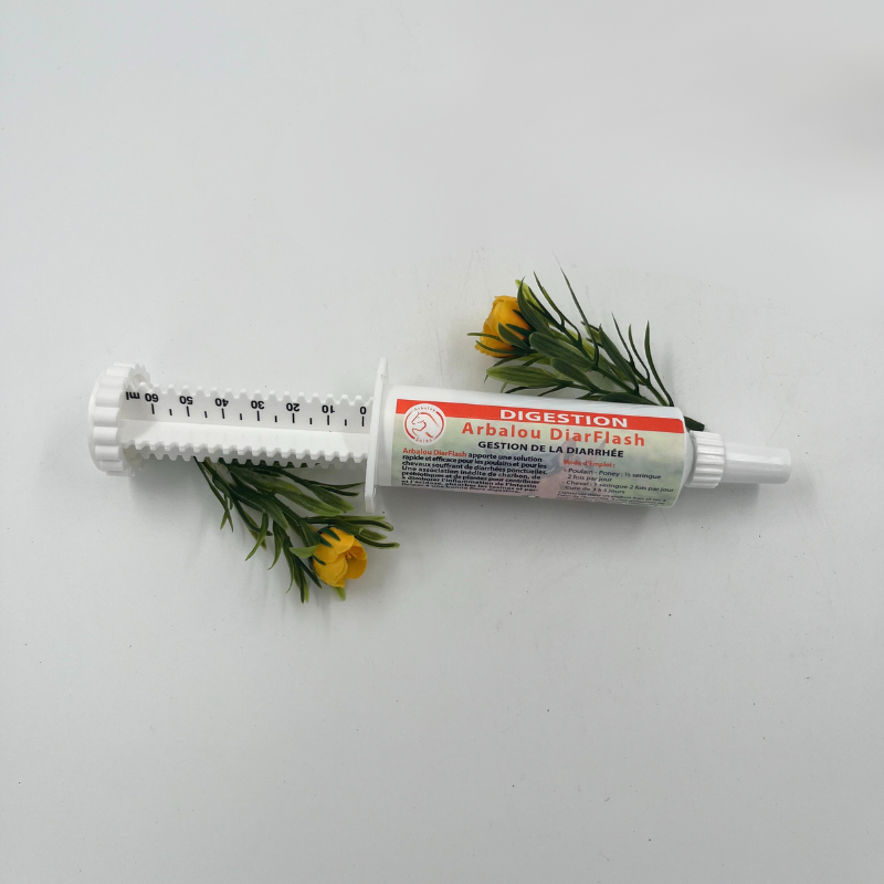 ARBALOU DIARFLASH