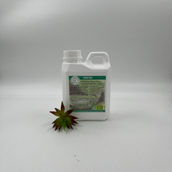 Aloe vera dermite cheval - Arbalou Soins