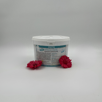 Cassis - Plante pure - La boutique de l'Arbalou