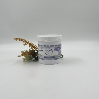Argile chien - La boutique de l'Arbalou