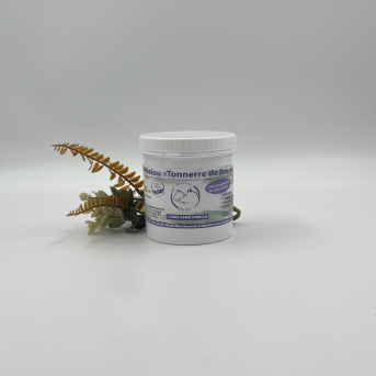 Argile chien - La boutique de l'Arbalou