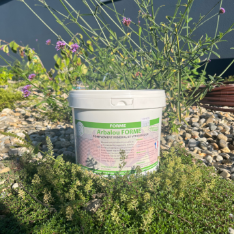 Arbalou Forme, complément adapté au cheval de loisir pour maintenir forme et vitalité - Arbalou Soins