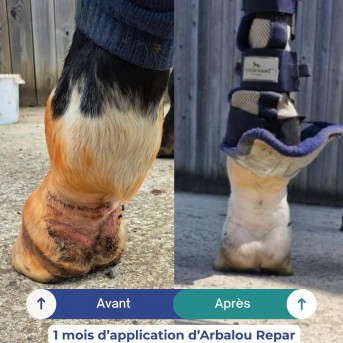ARBALOU REPAR