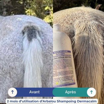 ARBALOU SHAMPOING DERMACALM