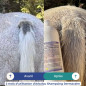 ARBALOU SHAMPOING DERMACALM