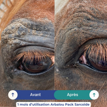 ARBALOU PACK SARCOIDE POUR CHEVAL (PETIT MODELE)