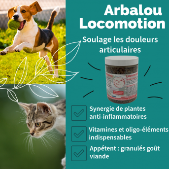 Produit articulation chien - La boutique de l'Arbalou