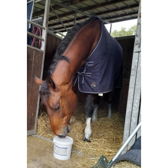 ARGILE CHEVAL - boue cheval - la boutique de l'arbalou