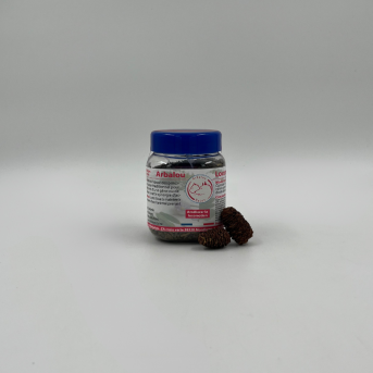 Plantes arthrose chien - harpagophytum chien